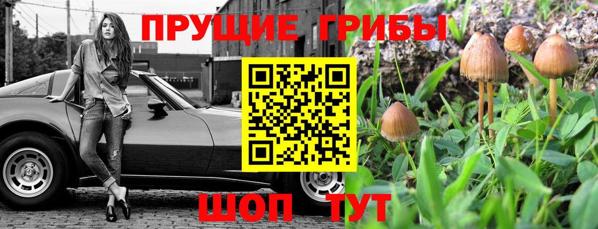 Псилоцибиновые грибы Magic Shrooms  Вход с VPN  Галлюциногенные грибы мицелий  Добрянка 